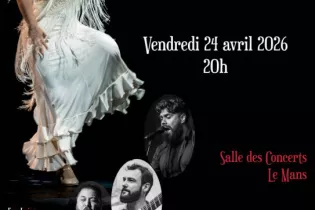 Spectacle Flamenco Amar y Bailar - @dansesetvibrations