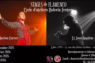 Stage Danse Flamenco Buleria - @dansesetvibrations