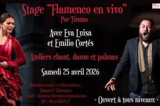 Flamenco en vivo - stage Eva Luisa - @dansesetvibrations