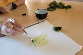 peindre avec des végétaux (Medium) - Ile MoulinSart