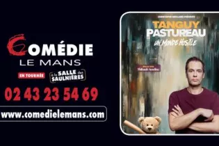 Capture d’écran 2026-02-13 à 18.48.19 - comedie le mans