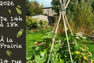 Troc Plantes - ©Collectif La Prairie