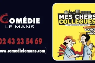 Mes chers Collégues - Comédie Le Mans
