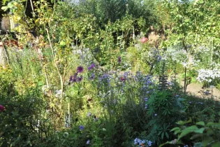 Jardin de la cité Plantagenêt - Ville du Mans
