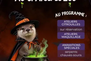 Halloween au Spaycific'Zoo !  - Spaycific'Zoo 