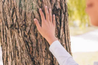 Visite sensorielle à l'arboretum d'Angers_Angers_1 - Musées d'Angers