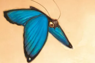 Visite commentée de l'exposition "Songes de Papier"_Angers_1 - Benjamin Lacombe