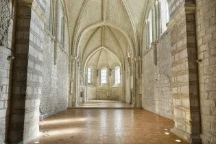 Choeur de la Collégiale Saint-Martin_1 - Bertrand Béchard