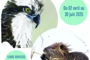 affiche expo_1 - Loire Odyssée