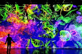 Exposition : Digital Floralia de Miguel Chevalier_Angers_1 - Thomas Granovsky