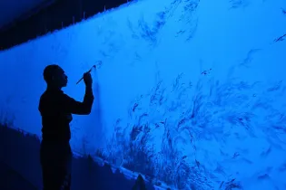 Exposition : Eric Eriston Winarto : Blacklight Selva 2015_Angers_1 - ©Alain Chudeau