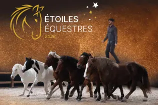 Spectacle : Étoiles équestres_Angers_1 - EE